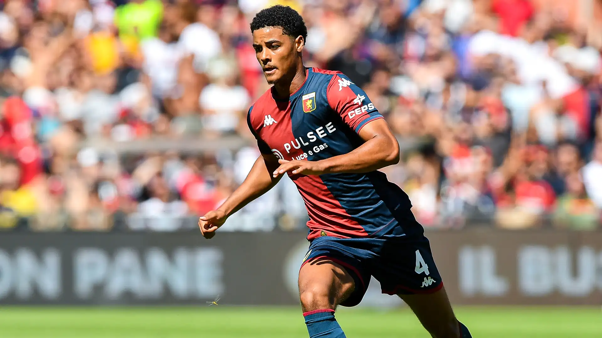 Koni De Winter con la maglia del Genoa